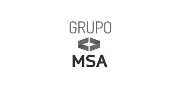 logo-msa_0